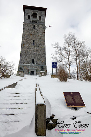 Chebucto Peninsula Early Spring Snow Storm (9)
