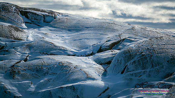 Peggys Cove Post Snow Storm 109