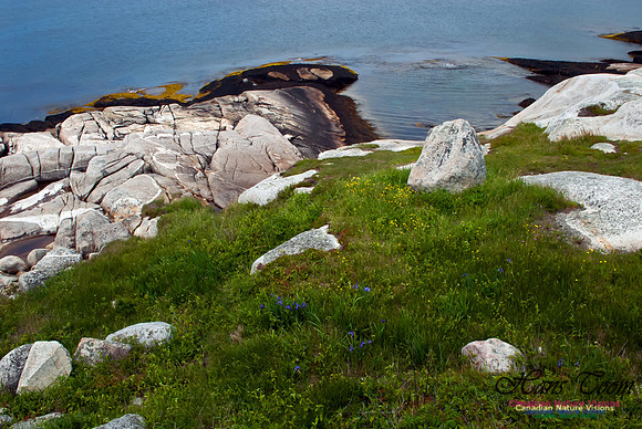 Peggys Cove