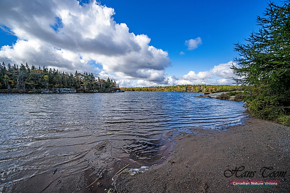 Sambro Loop 124