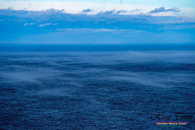 Aura of Ocean 103