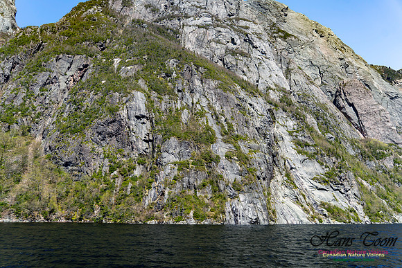 Western Brook Pond 149