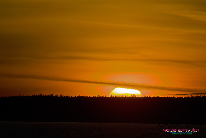 Peggy's Cove Sunset 3