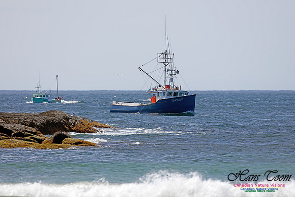Lobster Boats at Sandy Cove 1