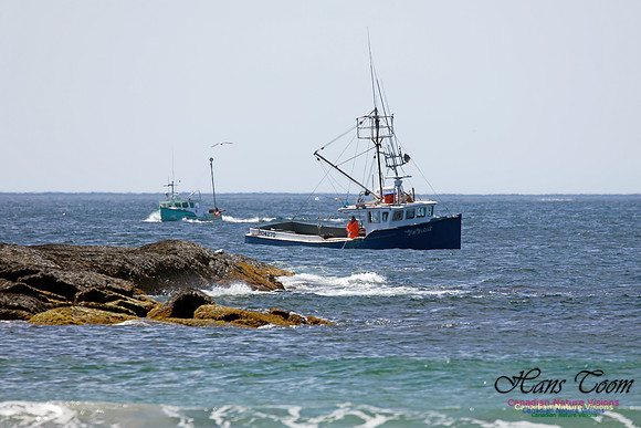 Lobster Boats at Sandy Cove 2