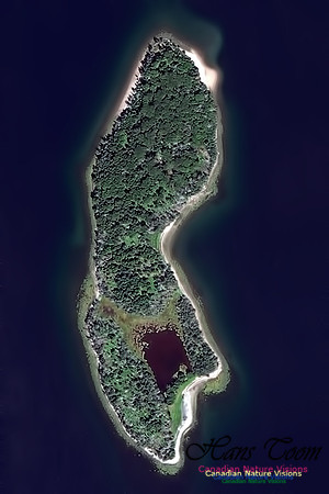 Troop Island Aerial Photo