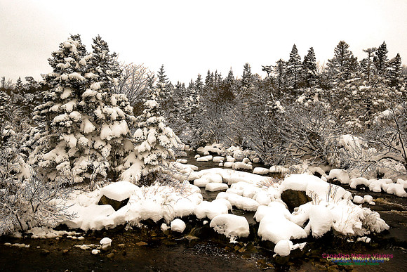 Pennant River