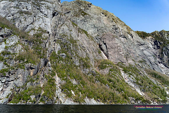 Western Brook Pond 147