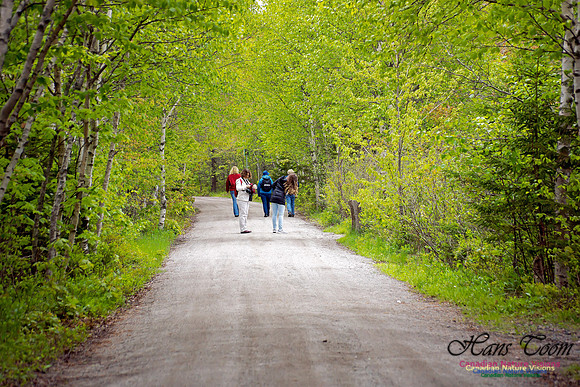 Warbler Walk Jerry Lawrence Provincial Park 2017 1