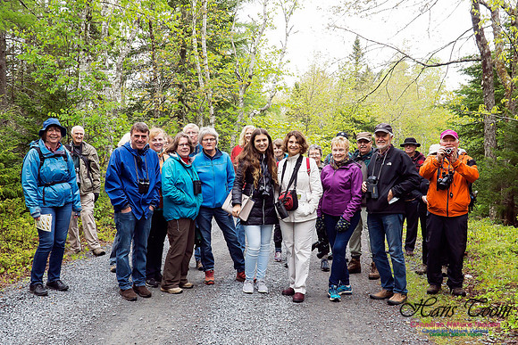 Warbler Walk Jerry Lawrence Provincial Park 2017 10
