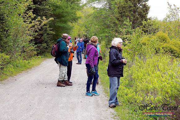 Warbler Walk Jerry Lawrence Provincial Park 2017 3