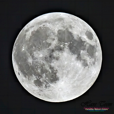 August 17, 2024 Supermoon 100