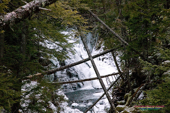 Dawson Brook Falls