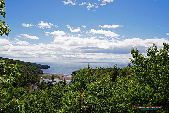 Cape Chignecto 2