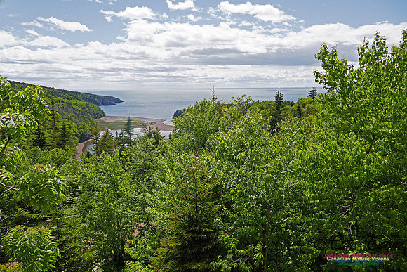 Cape Chignecto 3