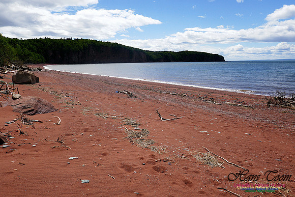 Cape Chignecto 5