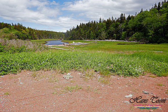 Cape Chignecto Provincial Park 1