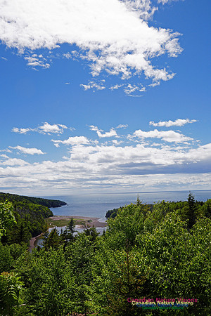 Cape Chignecto 1