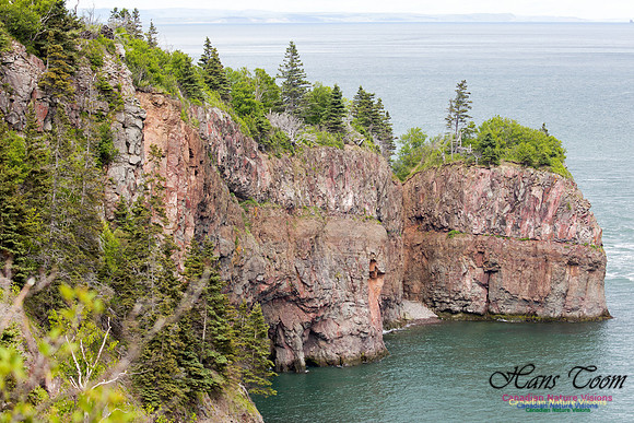 Cape d'Or 6