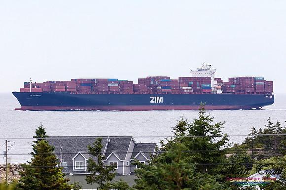 Zim Antwerp 1