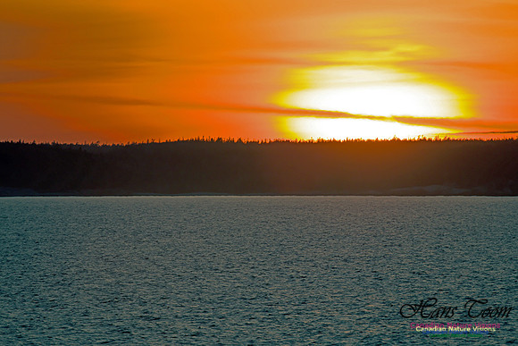 Peggy's Cove Sunset 4