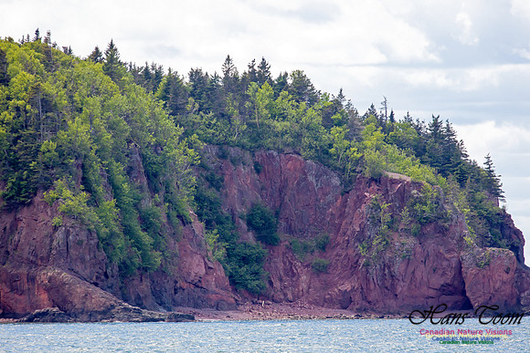 Cape Chignecto 9