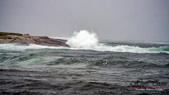 Nova Scotia Gale 2024-09-07 143