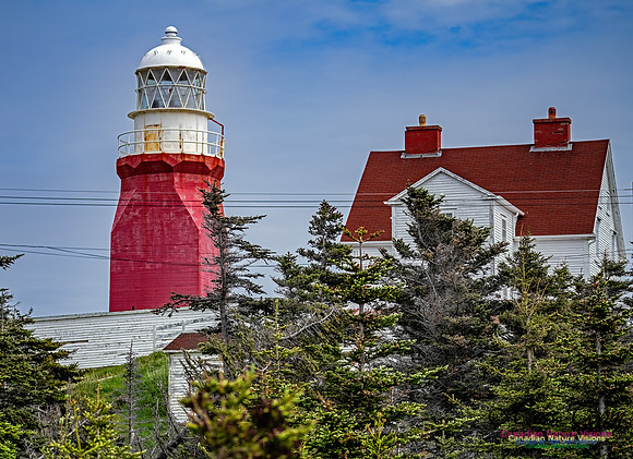 Twillingate 132