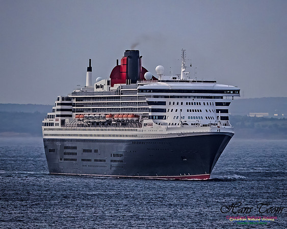 Queen Mary 2 114