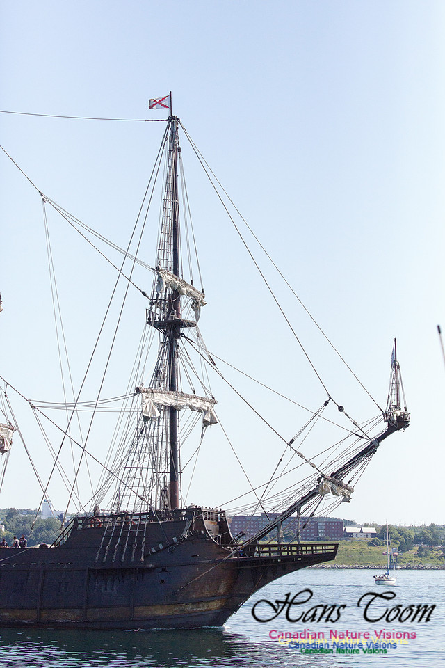 El Galeon 4