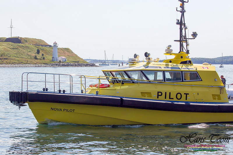 Nova Pilot 2