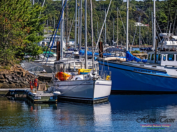 Armdale Marina 105