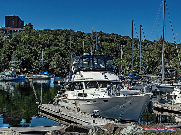 Armdale Marina 104