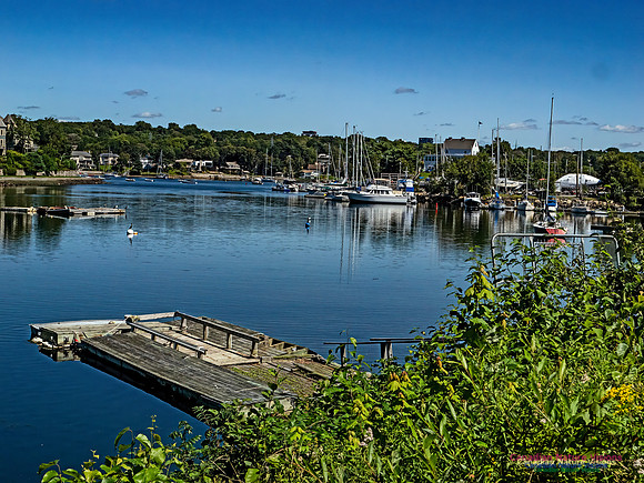 Armdale Marina 100