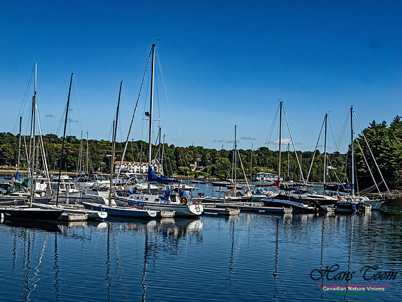Armdale Marina 101