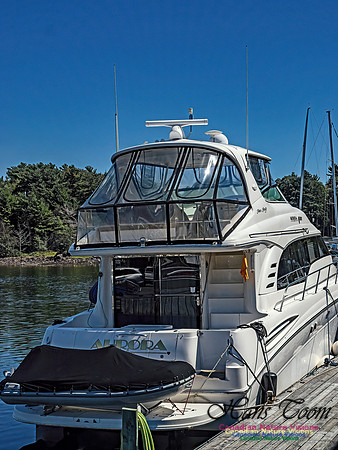 Armdale Marina 102