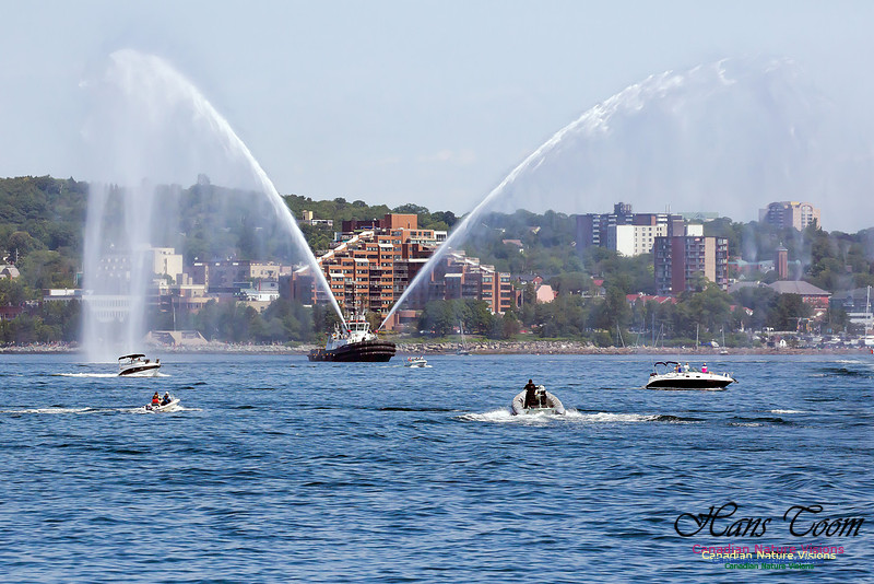 Parade of Sail 2