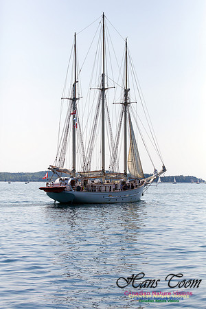 Blue Clipper 1