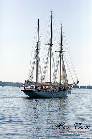 Blue Clipper 2
