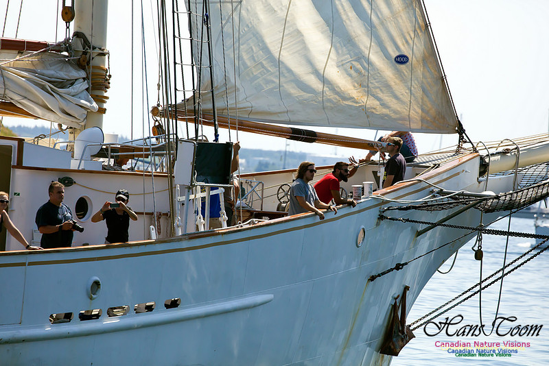 Blue Clipper 3