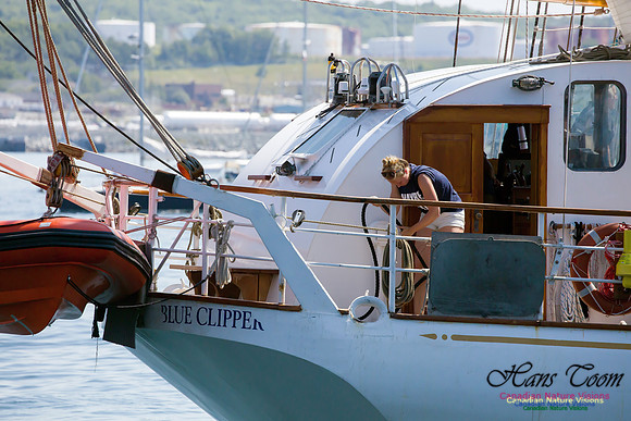 Blue Clipper 5