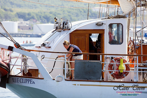 Blue Clipper 6