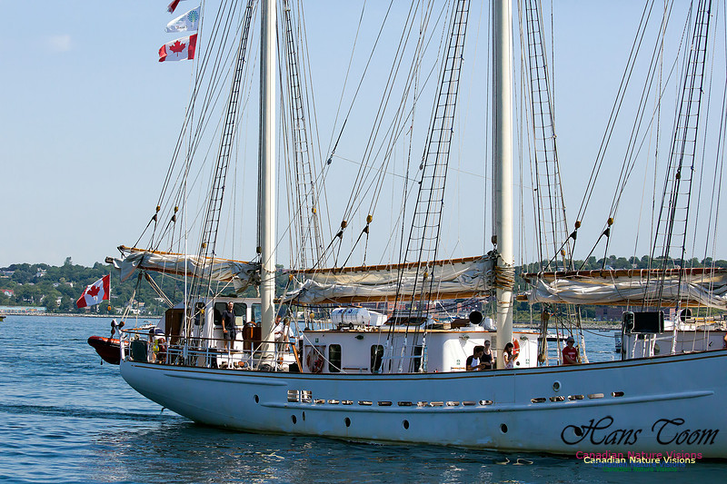 Blue Clipper 7