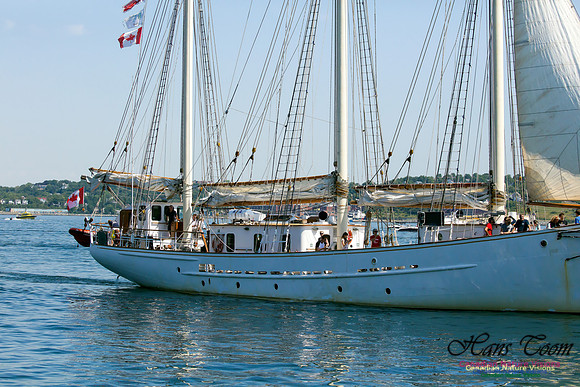 Blue Clipper 8