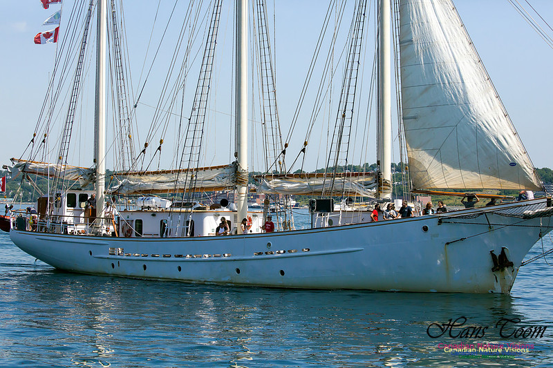 Blue Clipper 9