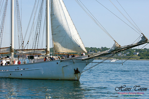 Blue Clipper 10
