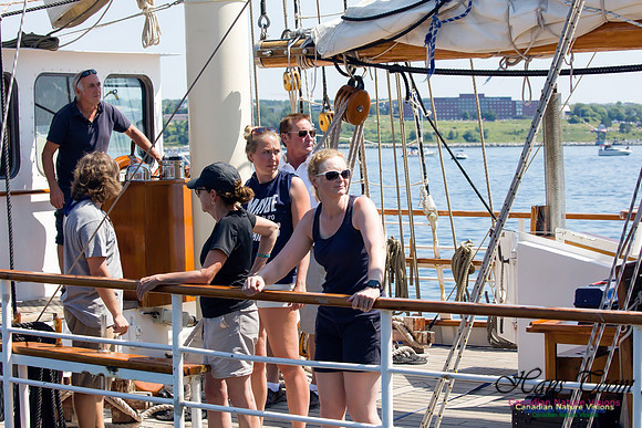 Blue Clipper 11
