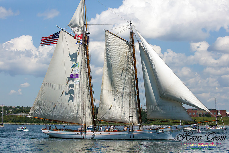 Spirit of Southern Carolina 4