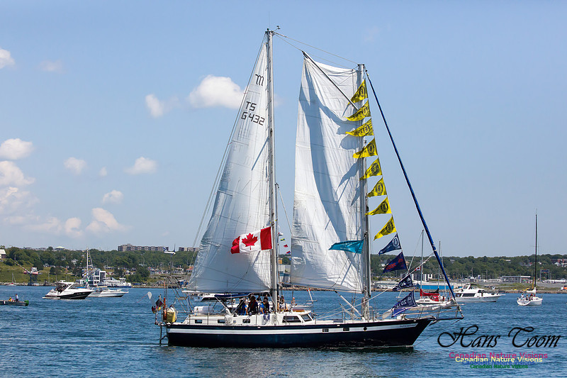 Regina-Germania 1