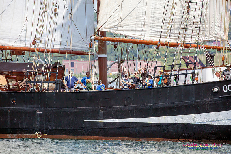 Oosterschelde 4